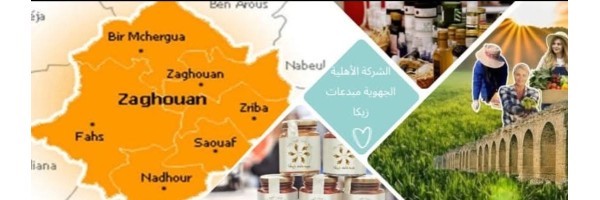 مبدعات زيكا مبدعات زيكا